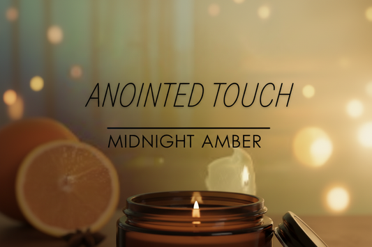 ✨Midnight Amber Bundle